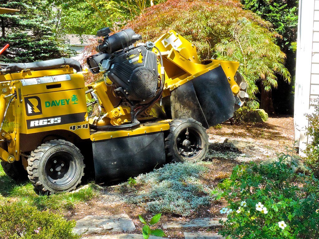 Barreto Stump Grinder